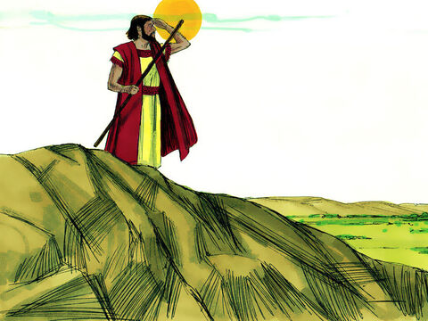 Dios le dijo a Abram, ‘Le daré esta tierra a tu descendencia’ – Número de diapositiva 8
