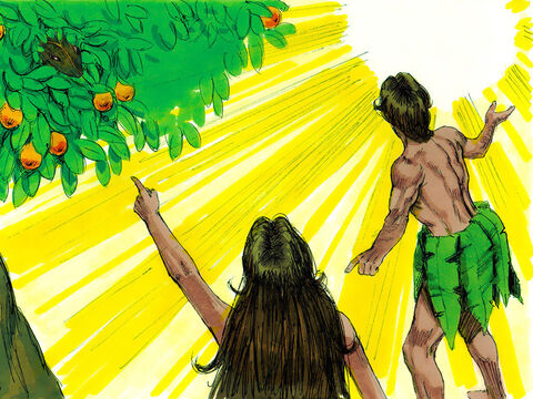 Adán respondió: “Te escuché en el jardín, y tuve tanto miedo porque estaba desnudo, que me escondí”. Dios respondió: “¿Quién te dijo que estabas desnudo? ¿Has comido del árbol del que te ordené que no comieras? Adán respondió: 'La mujer que pusiste aquí conmigo me dio un poco de fruta del árbol y yo la comí”. – Número de diapositiva 8