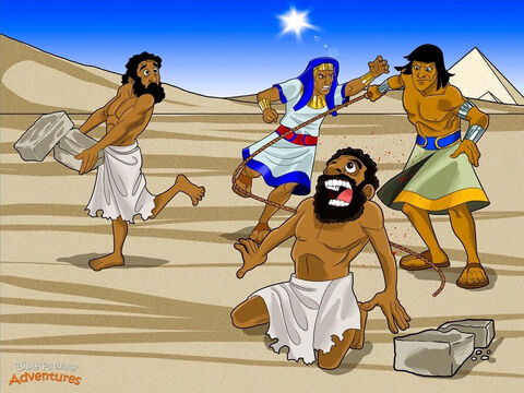 Un día, siendo Moisés un hombre hecho y derecho, descubrió que era hebreo. Fue a visitar a su auténtica familia, que vivía en un lugar de Egipto llamado Gosén. Mientras contemplaba cómo los esclavos fabricaban ladrillos de barro, vio a un hombre egipcio golpear a un hebreo.<br/>El corazón de Moisés se llenó de cólera: “¡Cómo te atreves a pegar a ese esclavo!”, le gritó. Moisés mató al egipcio y enterró su cuerpo en la arena. Al día siguiente, Moisés volvió al mismo lugar y vio a dos hombres hebreos peleando el uno con el otro.<br/>“¿Por qué golpeas a tu amigo? —preguntó a uno de ellos. Éste replicó: “¿Quién eres tú para decirme qué debo hacer? ¿Me matarás como mataste al egipcio?”.<br/>El corazón de Moisés se estremeció. ¿Quién más sabía que había matado a un egipcio? Cuando el faraón se enteró de lo que Moisés había hecho, supo que Moisés era hebreo. “¡Moisés no es mi nieto! ¡Encontradlo y acabad con él!”, ordenó, furioso.<br/>Moisés sabía que estaba en problemas. Huyó hasta una localidad llamada Madián, lejos del palacio del faraón. – Número de diapositiva 5