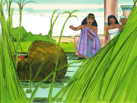 Éxodo 2:5  La hija del faraón bajó a bañarse en el Nilo. De pronto, vio la cesta entre los juncos y ordenó a sus doncellas que fueran por ella. – Número de diapositiva 18