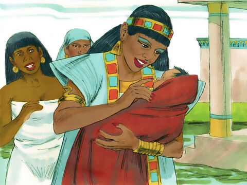Éxodo 2:6  Cuando la hija del faraón abrió la cesta y vio al bebé que lloraba, tuvo compasión de él. “Este es uno de los hijos de los Hebreos” – dijo. – Número de diapositiva 19