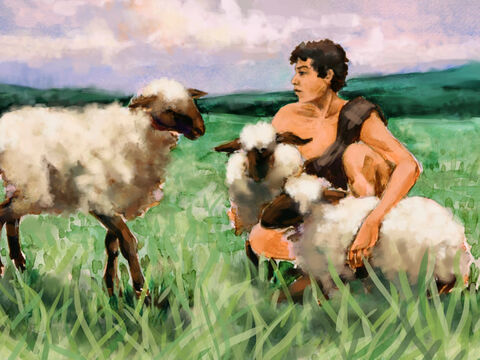 Ahora bien, Abel era pastor de ovejas. – Número de diapositiva 2