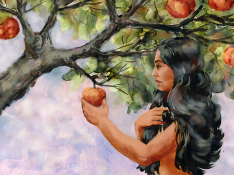 Y viendo la mujer que el árbol era bueno para comer, y que era un deleite a los ojos, y que el árbol era codiciable para alcanzar la sabiduría, tomó de su fruto, y comió. – Número de diapositiva 3