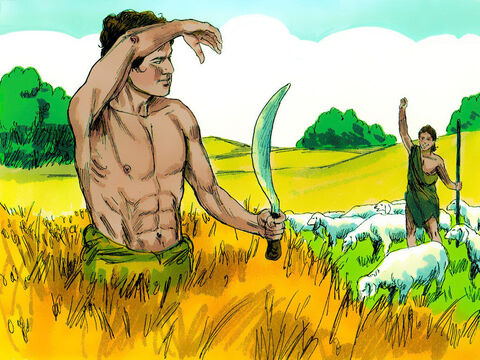 Cuando crecieron, Caín cultivó la tierra mientras Abel se convirtió en pastor. – Número de diapositiva 2