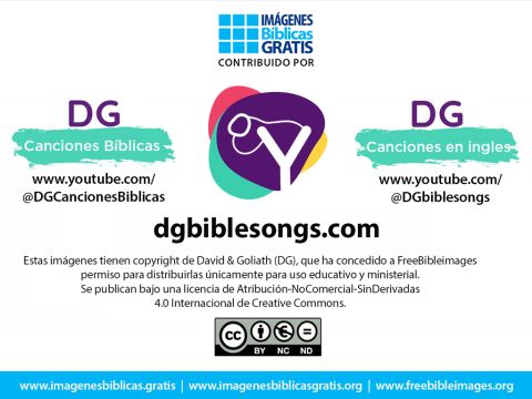 Número de diapositiva 29