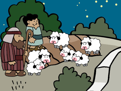 Esa noche, algunos pastores estaban en los campos cercanos cuidando a sus ovejas. – Número de diapositiva 4