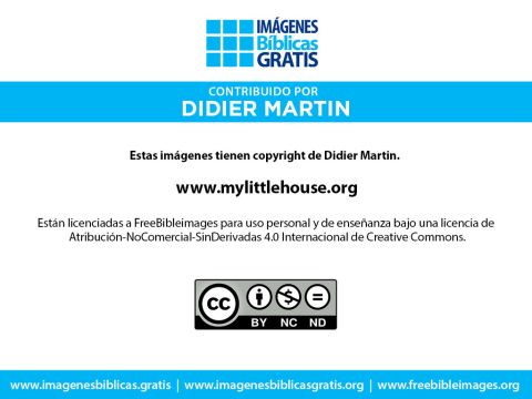 Número de diapositiva 16