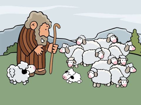 “Supongamos que fueras pastor y tuvieras 100 ovejas”. – Número de diapositiva 2