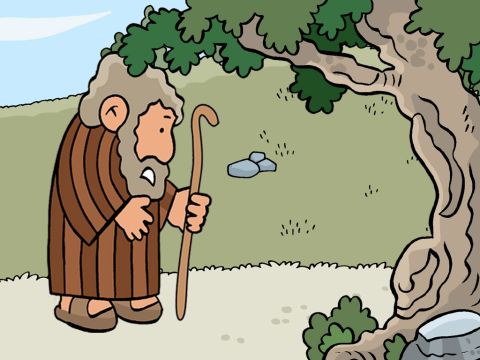 “Y seguirías buscando…” – Número de diapositiva 7