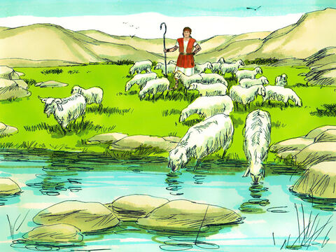 David estaba de regreso en Belén cuidando las ovejas de su padre. – Número de diapositiva 5