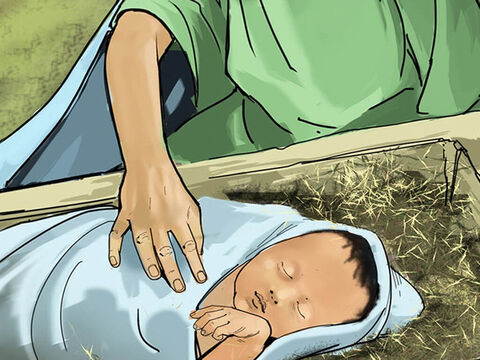 Esa noche, María dio a luz a un niño. Lo envolvió en pañales y lo acostó en un pesebre. – Número de diapositiva 8