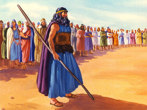 Elías proclamó: 'Soy un profeta solitario del Señor, pero Baal tiene 450 profetas. – Número de diapositiva 25