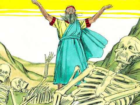 Ezequiel habló como Dios le había ordenado. Hubo un repentino traqueteo cuando los huesos se juntaron, hueso por hueso, para formar esqueletos. – Número de diapositiva 5