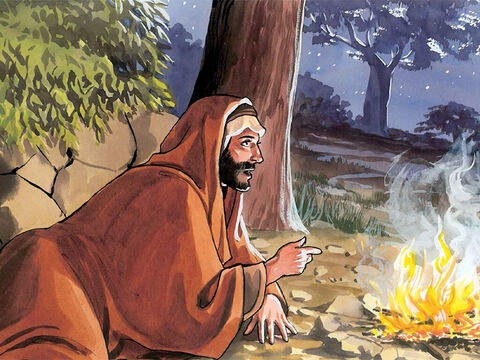 Jesús le dijo: ”Te aseguro que el que no nace de nuevo, no puede ver el reino de Dios.”<br/>“ – Número de diapositiva 3