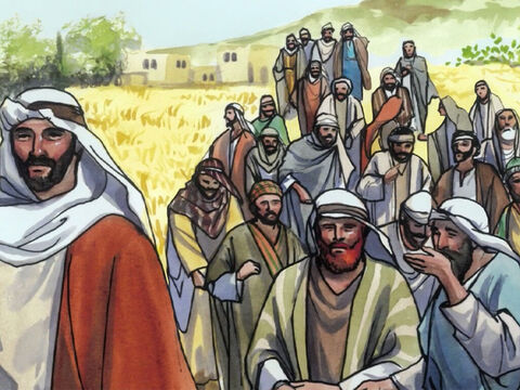 Sus discípulos arrancaban espigas de trigo, las desgranaban entre las manos y se comían los granos. – Número de diapositiva 2