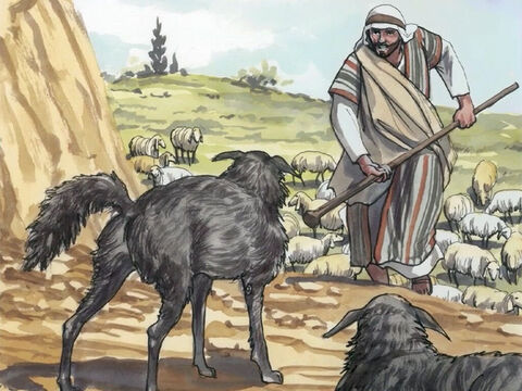 Al ver a la gente, sintió compasión de ellos, porque estaban cansados y abatidos, como ovejas que no tienen pastor. – Número de diapositiva 4