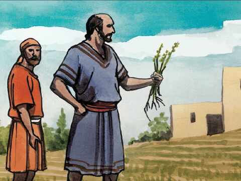 donde sus discípulos se le acercaron y le pidieron que les explicara la parábola de la mala hierba en el campo. – Número de diapositiva 16