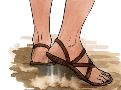 ...y sacúdanse el polvo de los pies, para que les sirva a ellos de advertencia.”  – Número de diapositiva 6