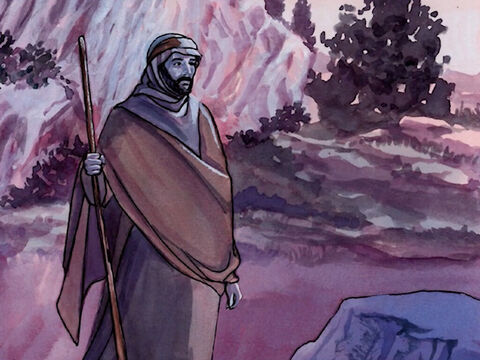 Cuando la hubo despedido, Jesús subió a un cerro, para orar a solas. Al llegar la noche, estaba allí él solo, – Número de diapositiva 2