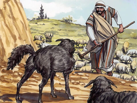 “Yo soy el buen pastor. El buen pastor da su vida por las ovejas;” – Número de diapositiva 9