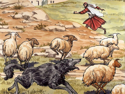 “pero el que trabaja solamente por la paga, cuando ve venir al lobo deja las ovejas y huye, porque no es el pastor y porque las ovejas no son suyas. Y el lobo ataca a las ovejas y las dispersa en todas direcciones.” – Número de diapositiva 10