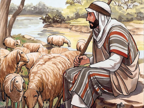 "Yo soy el buen pastor. Así como mi Padre me conoce a mí y yo conozco a mi Padre,” – Número de diapositiva 12