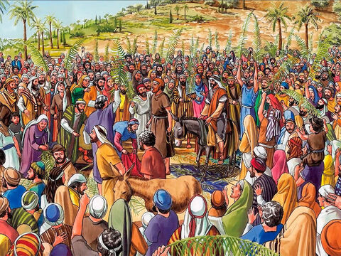 Y tanto los que iban delante como los que iban detrás, gritaban: “¡Hosana al Hijo del rey David! ¡Bendito el que viene en el nombre del Señor! ¡Hosana en las alturas" <br/>” – Número de diapositiva 7