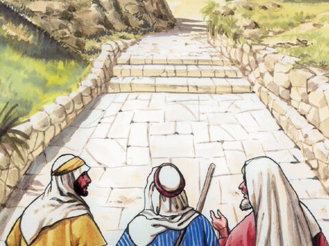 Al llegar al pueblo adonde se dirigían, Jesús hizo como que iba a seguir adelante... – Número de diapositiva 19