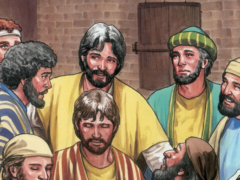 Tomás, uno de los doce discípulos, al que llamaban el Gemelo, no estaba con ellos cuando llegó Jesús. – Número de diapositiva 6