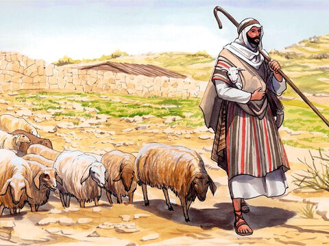 Jesús le dijo: “Cuida de mis ovejas.” – Número de diapositiva 14