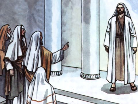 Entonces, cuando Pedro subió a Jerusalén, los creyentes circuncidados lo criticaron y le dijeron: "Entraste en casa de hombres incircuncisos y comiste con ellos". – Número de diapositiva 14