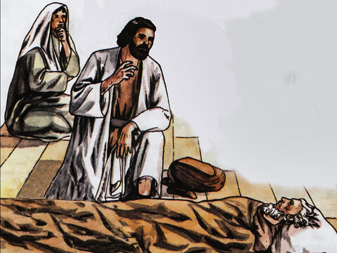 Pedro encontró a un hombre llamado Eneas, que estaba paralítico y había estado postrado en cama durante ocho años. “Eneas”, le dijo Pedro, “Jesucristo te cura. Levántate y enrolla tu estera.” – Número de diapositiva 3