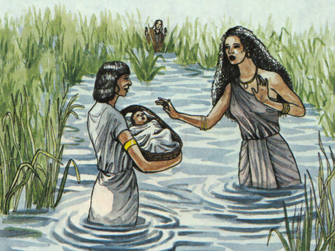 "Cuando lo dejaron afuera, la hija de Faraón lo tomó y lo crió como a su propio hijo". – Número de diapositiva 3