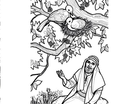 Jesús dice: “Las zorras tienen guaridas y las aves nidos, pero el Hijo del Hombre no tiene dónde reclinar su cabeza”. Lucas 9:58 – Número de diapositiva 4