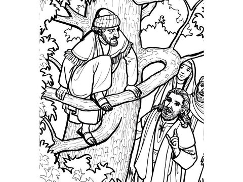 Jesús se detiene para hablar con Zaqueo, el recaudador de impuestos, que se ha subido a un sicomoro.<br/>Lucas 19:1-10 – Número de diapositiva 12