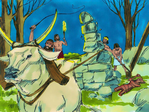 Con la ayuda de diez sirvientes, Gedeón tomó uno de los toros de su padre y derribó el ídolo de Baal de su padre. Cortaron el poste que su familia usaba para adorar al ídolo Asera. – Número de diapositiva 9