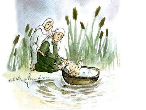 Sucedió que un niño nació en una familia israelita. Su madre sabía que tenía que hacer algo para salvarlo. Hizo una gran cesta con juncos de los que crecían en la ribera del río. La selló con alquitrán pegajoso para que flotara. Luego colocó al niño en la cesta y lo puso en el río, cerca de la orilla. Su hermana, Miriam, se mantenía a distancia vigilando al bebé. – Número de diapositiva 3