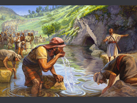 Dios selecciona el ejército de Gedeón.<br/>Entonces  llevó a la gente al agua. Y el Señor le dijo a Gedeón: “Cualquiera que lama el agua con su lengua, como lame el perro, lo sentarás aparte. Asimismo, todo el que se arrodilla para beber.”<br/>Jueces 7:5<br/>Texto completo: Jueces 6:1–7:8 – Número de diapositiva 1