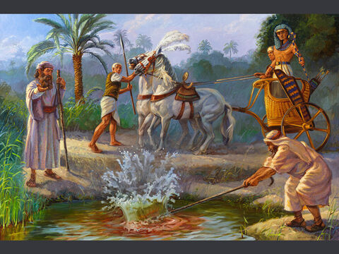 La primera plaga: el agua se convierte en sangre.<br/>“Moisés y Aarón cumplieron las órdenes del Señor. En presencia del faraón y de sus funcionarios, Aarón levantó su vara y golpeó las aguas del Nilo. ¡Y toda el agua del río se convirtió en sangre!”<br/>Éxodo 7:20<br/>Texto completo: Éxodo 7:14-23 – Número de diapositiva 3