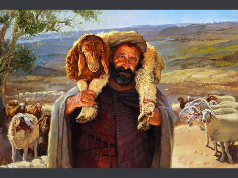 Parábola de la oveja perdida - pintura 2.<br/>“Y, cuando la encuentra, lleno de alegría la carga en los hombros.”<br/>Lucas 15:5<br/>Texto completo: Lucas 15:3-7 – Número de diapositiva 8