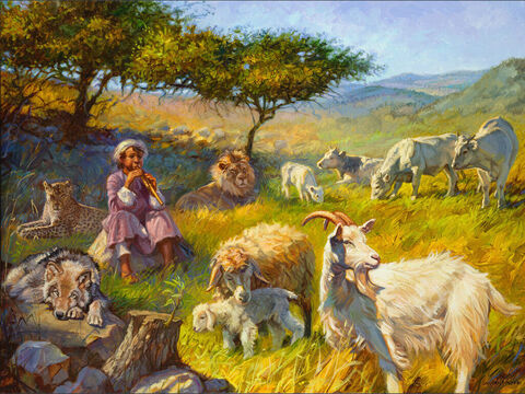 El reino mesiánico de paz.<br/>“El lobo vivirá con el cordero, el leopardo se echará con el cabrito,<br/>y juntos andarán el ternero y el cachorro de león,  y un niño pequeño los guiará.”<br/>Isaías 11:6<br/>Texto completo: Isaías 11:1-9 También Salmo 72, 110 – Número de diapositiva 5