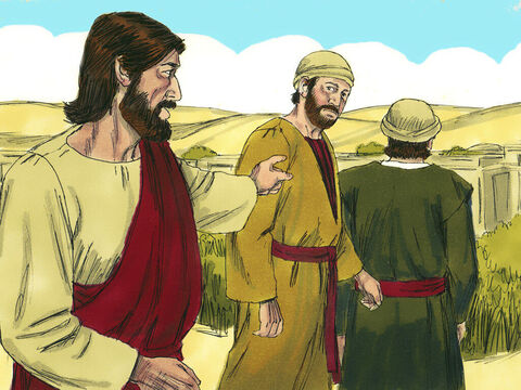 Si alguien les pregunta qué están haciendo, díganle: “El Señor lo necesita y lo devolverá”. Los dos discípulos partieron inmediatamente. – Número de diapositiva 3