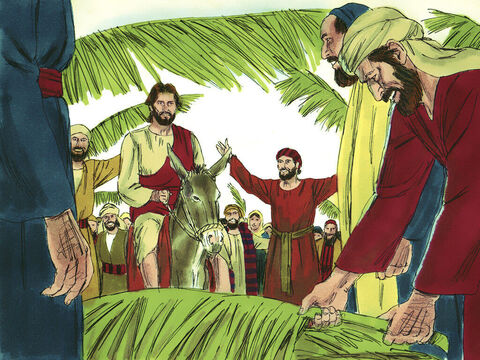 Muchas personas extendieron sus mantos o ramas de palmera en el suelo para que Jesús pasara sobre ellos, mientras que otros agitaban hojas de palmera. – Número de diapositiva 7