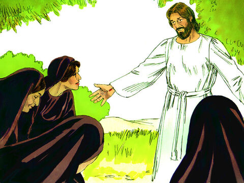 De pronto, Jesús se les apareció. "Saludos," dijo. Se acercaron a él, abrazaron sus pies y le adoraron. "No tengan miedo", Jesús les dijo. "Vayan y avisen a mis hermanos que vayan a Galilea y allí me verán". – Número de diapositiva 8