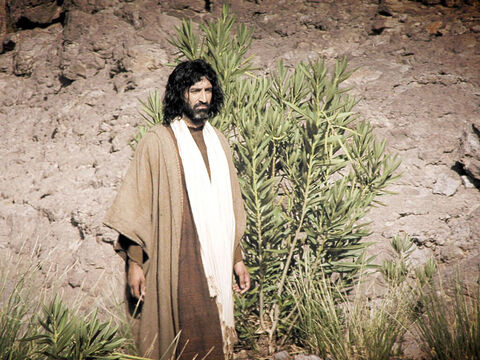 Mateo 3:13-17, Marcos 1:9-11, Lucas 3:21-22, Juan 1:29-34. Al día siguiente, Juan vio a Jesús que se acercaba a él y lo señaló como el Cordero de Dios que quita el pecado del mundo, la persona para la que había estado preparando el camino. – Número de diapositiva 16