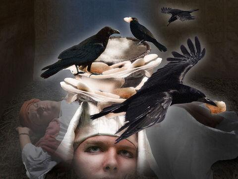 "...  y las aves los comían de la cesta sobre mi cabeza". – Número de diapositiva 21