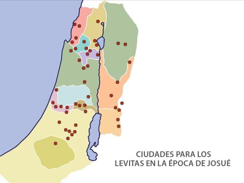 Entonces los levitas recibieron ciudades, distribuidas a lo largo de la Tierra Prometida, donde pudieron vivir y tener tierras para sus animales. – Número de diapositiva 7