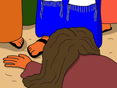 La mujer lloró y cayó a los pies de Jesús. "Fui yo quien te tocó", confesó. – Número de diapositiva 16