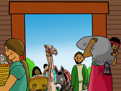 Dios le dijo a Noé y su familia que recolectaran comida para ellos y todos los animales, y luego la guardaran dentro del Arca. Los ocho estaban muy felices e hicieron exactamente lo que Dios dijo. – Número de diapositiva 11