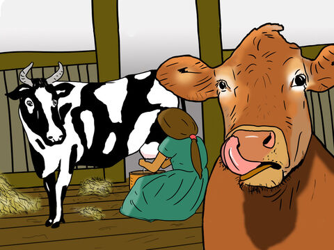 Noé y su familia tenían mucho trabajo que hacer cuidando a todos los animales. Las vacas necesitaban ordeño para que Noé y su familia tuvieran leche. – Número de diapositiva 25